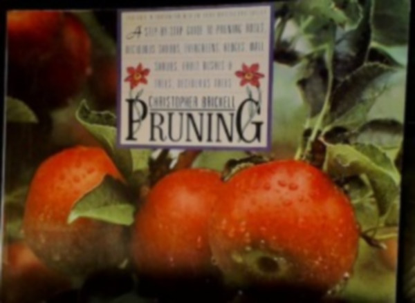 Pruning