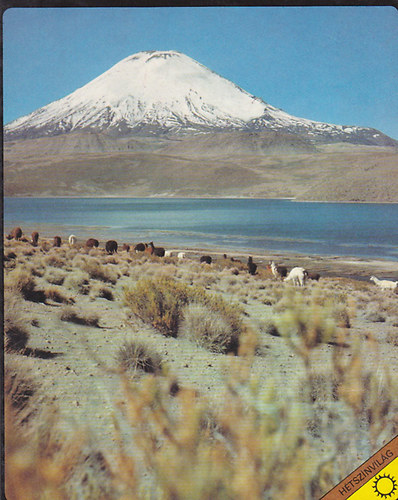 Sz�k�s az Andokon �t