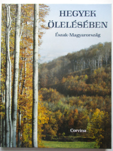 Hegyek lelsben (szak-Magyarorszg)