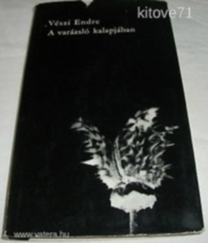 V�szi Endre - A var�zsl� kalapj�ban