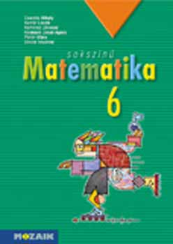 Sokszn matematika tanknyv 6. osztly