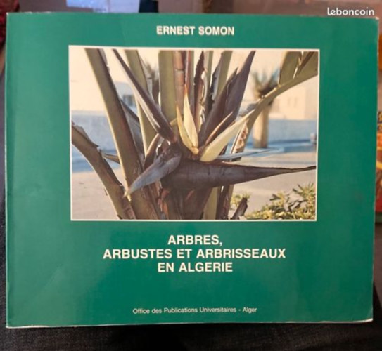 Arbres, arbustes et arbrisseaux en Alg�rie