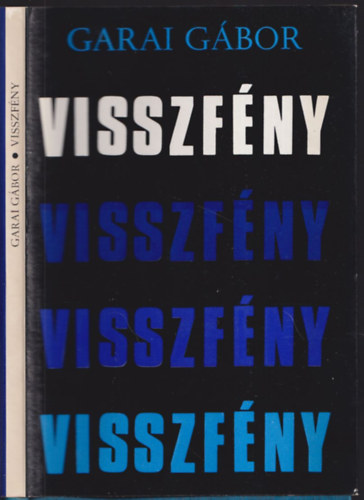 Visszf�ny (Bertha Bulcsunak dedik�lt p�ld�ny)