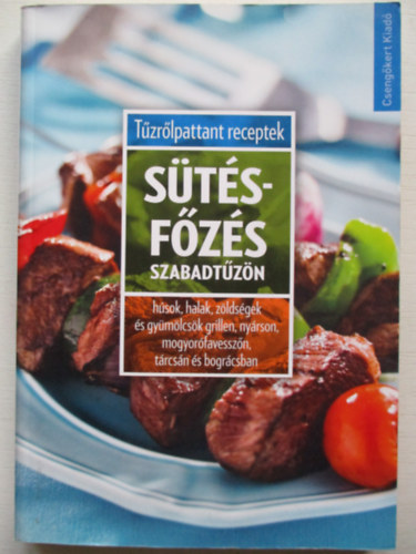 Sts-fzs szabadtzn