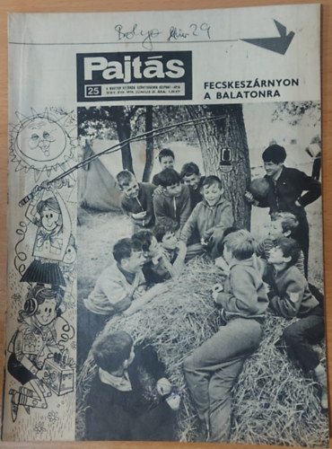 Pajts XXV. vfolyam, 25. szm (1970)