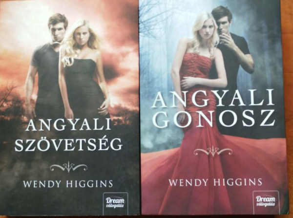 2db Wendy Higgins k�nyv : Angyali gonosz + Angyali sz�vets�g