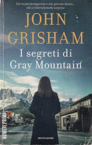 John Grisham - I segreti di Gray Mountain