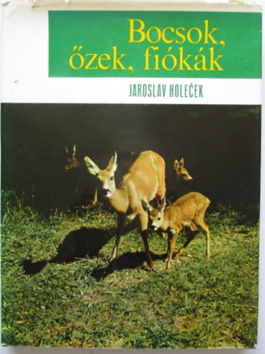 Bocsok, zek, fikk