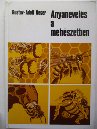 Anyanevel�s a m�h�szetben