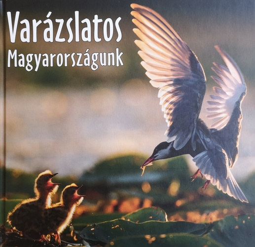 Varzslatos Magyarorszgunk 2018
