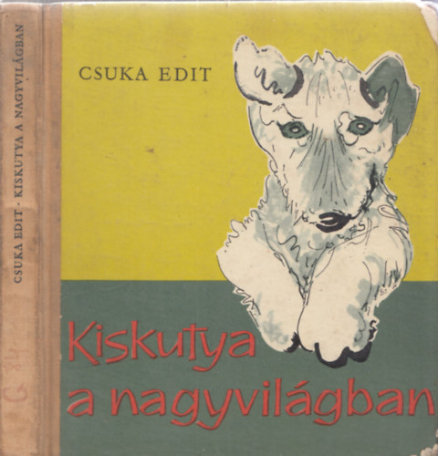 Kiskutya a nagyvilgban