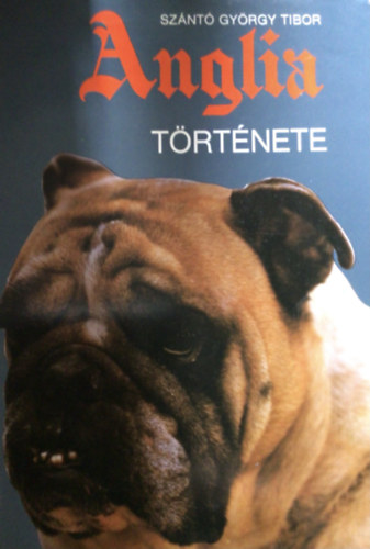 Anglia t�rt�nete