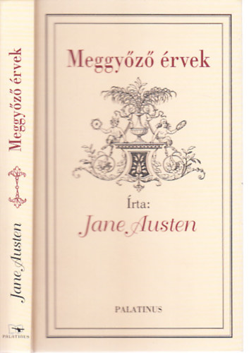 Jane Austen - Meggyz rvek