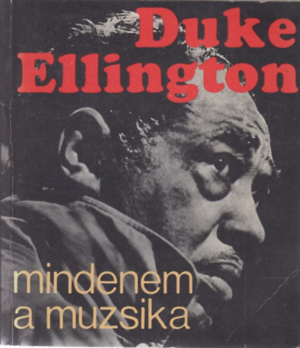Mindenem a muzsika