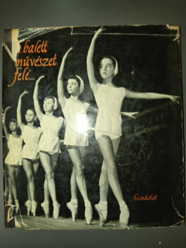 A balettmvszet fel... (A felvteltl az oklevlig / A klasszikus tnctl a vvsig)