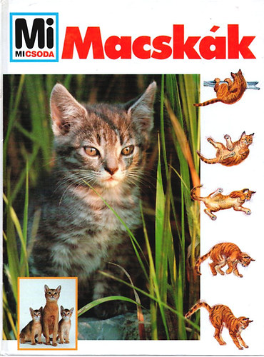 Macskk (Mi micsoda)