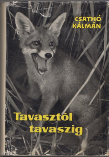 Tavasztl tavaszig