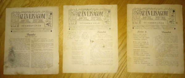 Gál Mózes - Az Én Újságom