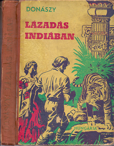 Lzads Indiban (Sebk Imre rajzaival)