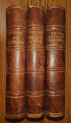 �gy kezd�d�tt-A k�tfej� sas lehull-Ez lett a v�ge I-III.