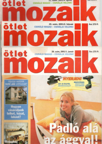 tlet Mozaik 2001. vf. ( 11. szm - mrcius hinyzik )