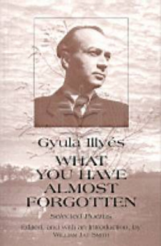 Gyula Ills - What you have almost forgotten (selected poems)