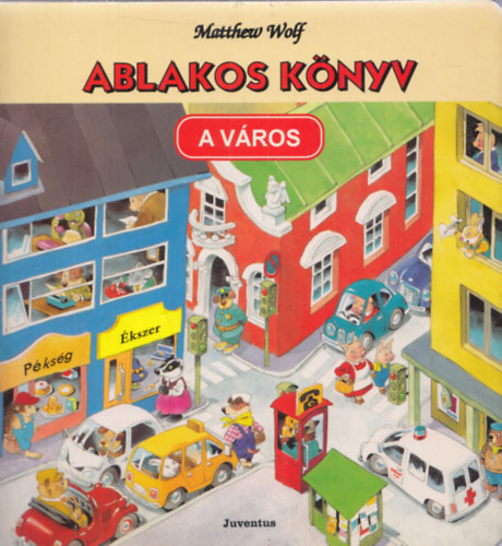 Matthew Wolf - Ablakos könyv - A város