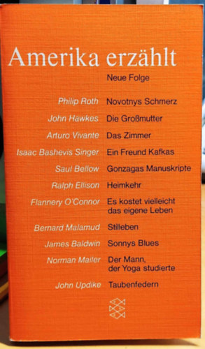 Amerika Erz�hlt (Siebzehn Short Stories)