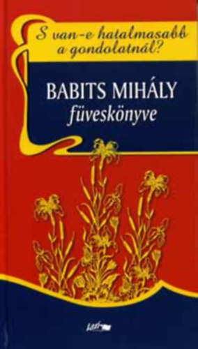 S van-e hatalmasabb a gondolatnl?  Babits Mihly fvesknyve