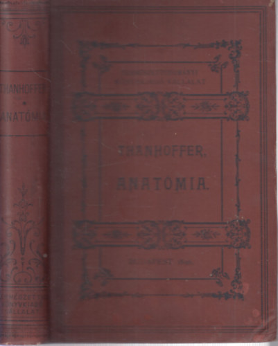 El�ad�sok az anat�mia k�r�b�l