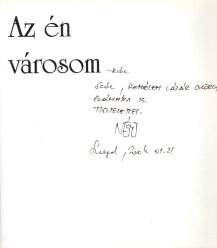 Az n vrosom - dediklt
