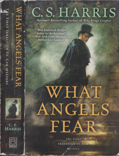 What Angels Fear