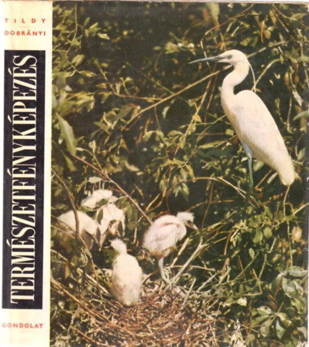 Termszetfnykpezs