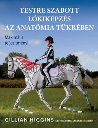 Testre szabott lkikpzs az anatmia tkrben
