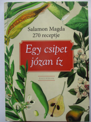 Egy csipet j�zan �z - Salamon Magda 270 receptje
