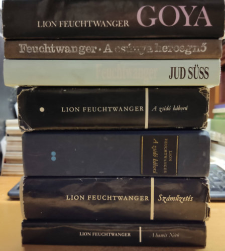 7 db Feuchtwanger: A csnya hercegn; A hamis Nr; A zsid hbor I-II.; Goya; Jud sss; Szmzets