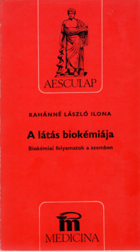 A l�t�s biok�mi�ja Biok�miai folyamatok a szemben
