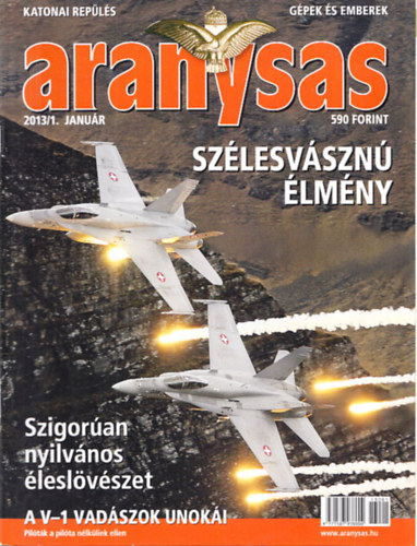 Aranysas magazin 2013/1-12. (teljes vfolyam, lapszmonknt)