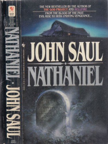 John Saul - Nathaniel