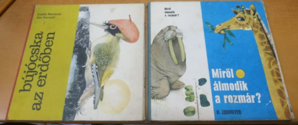 Bjcska az erdben + Mirl lmodik a rozmr? (2 ktet)