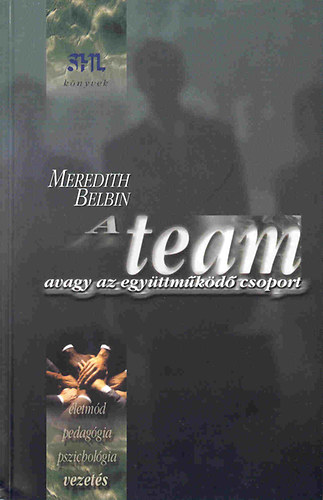 A team avagy az egyttmkd csoport