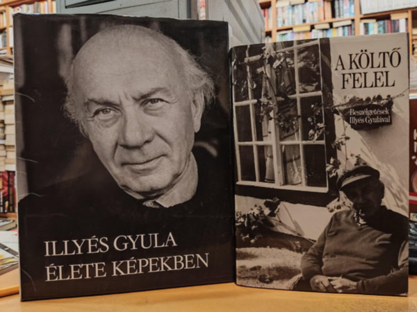 2 db A klt felel (Beszlgetsek Illys Gyulval) + Illys Gyula lete kpekben