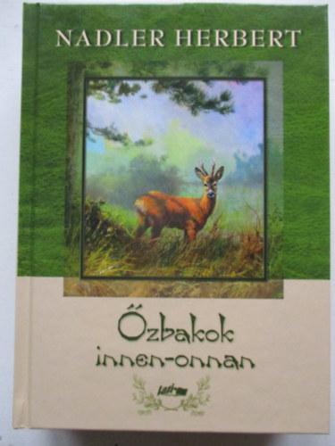 zbakok innen-onnan