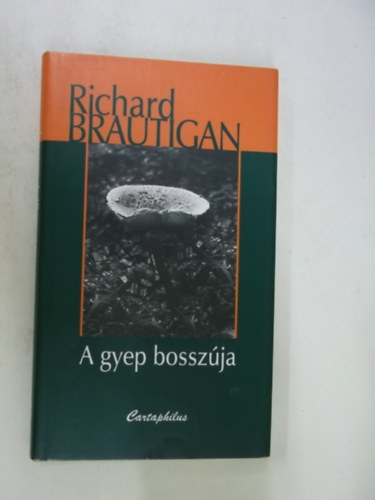 Richard Brautigan - A gyep bosszúja