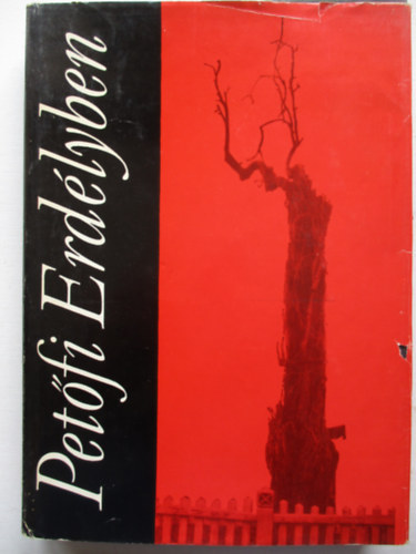 D�vid Gyula-Mik� Imre - Pet�fi Erd�lyben