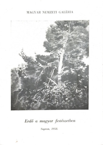 Erd a magyar festszetben