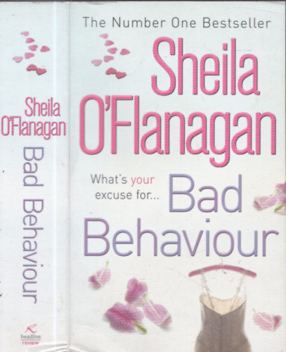 Bad Behaviour