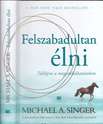 Michael A. Singer - Felszabadultan lni