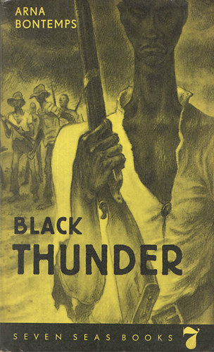 Arna Bontemps - Black thunder