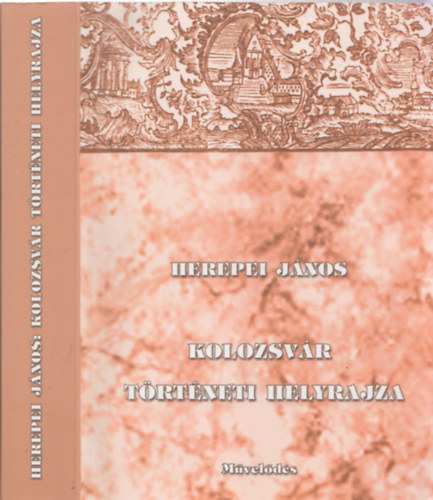 Kolozsvr trtneti helyrajza